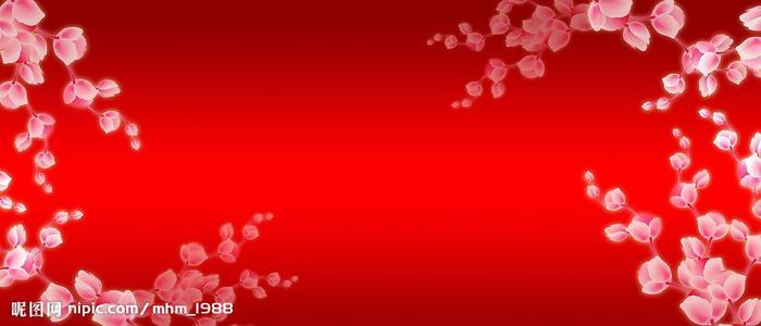 澳洲cpa证书模板